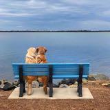 (Category: ) located in . Submitted by kmhr01 (Listing ID 1381541538, Image 1). Description: .