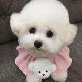 （分類：）位於 。 由 sellingbranditems 提交（商品編號 1383115230，圖片 1）。簡介： 。