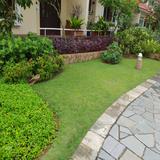 (Category: ) located in . Submitted by cheaplandscape (Listing ID 1209026969, Image 1). Description: .