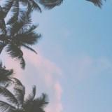 (Category: ) located in . Submitted by username.already.exist (Listing ID 1344647527, Image 1). Description: .