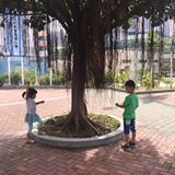(分類:)位於 。 由 grand.beckychan 提交(商品編號 1455171583,圖片 1)。簡介: 。