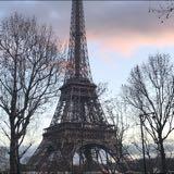 (Category: ) located in . Submitted by joyess (Listing ID 1222831841, Image 1). Description: .