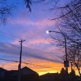 (Category: ) located in . Submitted by zhu647 (Listing ID 1369418496, Image 1). Description: .