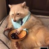 (Category: ) located in . Submitted by bornfreehero (Listing ID 1362037197, Image 1). Description: .