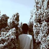 由 shoegazerrr (刊登 ID 1375740787，圖片 1) 提交，位於 的 (類別：)，說明：。