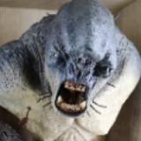 (Category: ) located in . Submitted by theyhaveacavetroll (Listing ID 1379182640, Image 1). Description: .