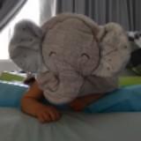 (Category: ) located in . Submitted by lolaaaa (Listing ID 1334096600, Image 1). Description: .