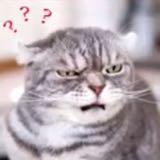 由 ao3113123 (刊登 ID 1376069922，圖片 1) 提交，位於 的 (類別：)，說明：。