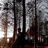 由 allenfgsfhhh (刊登 ID 1385480388，圖片 1) 提交，位於 的 (類別：)，說明：。