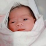 由 jessica77799 (刊登 ID 1375659881，圖片 1) 提交，位於 的 (類別：)，說明：。