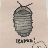 (Category: ) located in . Submitted by isopod (Listing ID 1379129071, Image 1). Description: .