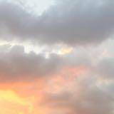 (Category: ) located in . Submitted by wardrobeclearancesale (Listing ID 1266305833, Image 1). Description: .