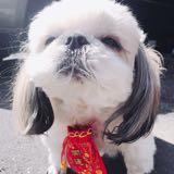 由 bigsa78 (刊登 ID 1379851481，圖片 1) 提交，位於 的 (類別：)，說明：。