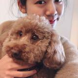 由 lovetzuyu (刊登 ID 1169924032，圖片 1) 提交，位於 的 (類別：)，說明：。