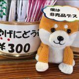 由 pingubuta (刊登 ID 1380187693，圖片 1) 提交，位於 的 (類別：)，說明：。