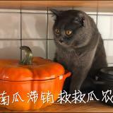 (Category: ) located in . Submitted by sophia_weng (Listing ID 1384505399, Image 1). Description: .