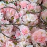 （分類：）位於 。 由 elmama 提交（商品編號 1176593820，圖片 1）。簡介： 。