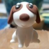 (Category: ) located in . Submitted by phoneysan (Listing ID 1378296727, Image 1). Description: .