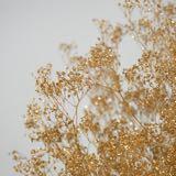 (Category: ) located in . Submitted by jovtan123 (Listing ID 1366596642, Image 1). Description: .