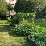 (Category: ) located in . Submitted by farmerng (Listing ID 1379661873, Image 1). Description: .