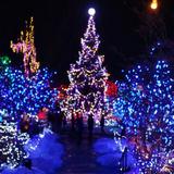 (Category: ) located in . Submitted by pikoc (Listing ID 1365856413, Image 1). Description: .