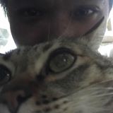 （分類：）位於 。 由 hhaanngg 提交（商品編號 1385952283，圖片 1）。簡介： 。