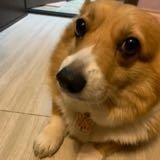 （分類：）位於 。 由 queenkaori 提交（商品編號 1364797943，圖片 1）。簡介： 。