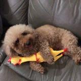 (Category: ) located in . Submitted by zkbbac (Listing ID 1352655083, Image 1). Description: .