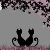 (Category: ) located in . Submitted by crystal060 (Listing ID 1383464642, Image 1). Description: .