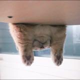 (Category: ) located in . Submitted by wiffv (Listing ID 1373879238, Image 1). Description: .
