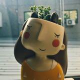 由 star850624 (刊登 ID 1377687345，圖片 1) 提交，位於 的 (類別：)，說明：。
