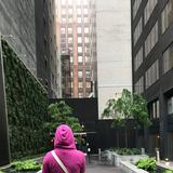 (Category: ) located in . Submitted by amcgal (Listing ID 1374967010, Image 1). Description: .