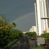 (Category: ) located in . Submitted by rainbow159 (Listing ID 1385563964, Image 1). Description: .