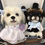 (分類:)位於 。 由 samwithme 提交(商品編號 1453095031,圖片 1)。簡介: 。