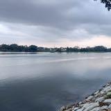 (Category: ) located in . Submitted by reinsky_ (Listing ID 1379937595, Image 1). Description: .