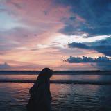 (Kategori: ) berada di . Dikirim oleh prelovedbysyaluvvv (ID iklan 1378857320, Gambar 1). Deskripsi: .