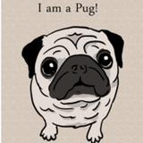 (Category: ) located in . Submitted by puglier (Listing ID 1196281072, Image 1). Description: .
