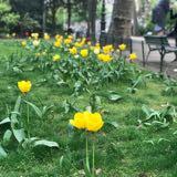 (Category: ) located in . Submitted by sherpig (Listing ID 1363595082, Image 1). Description: .