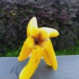 (Category: ) located in . Submitted by mapleleaf.y (Listing ID 1217251728, Image 1). Description: .
