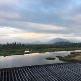 （分類：）位於 。 由 yoozah 提交（商品編號 1386110738，圖片 1）。簡介： 。