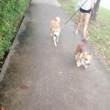 (Category: ) located in . Submitted by lsk122 (Listing ID 1314429313, Image 1). Description: .
