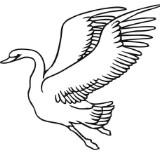 (Category: ) located in . Submitted by flyingswan (Listing ID 1384321854, Image 1). Description: .