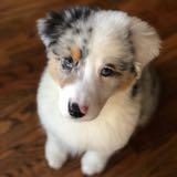 (Category: ) located in . Submitted by stella.august (Listing ID 1442315673, Image 1). Description: .
