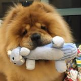 （分類：）位於 。 由 stomachbearwu 提交（商品編號 1171205067，圖片 1）。簡介： 。