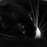 （分類：）位於 。 由 kwryeung 提交（商品編號 1235714973，圖片 1）。簡介： 。