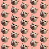 （分類：）位於 。 由 animalcolour 提交（商品編號 1382999769，圖片 1）。簡介： 。