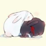 (Category: ) located in . Submitted by chiii__chibi (Listing ID 1381016312, Image 1). Description: .