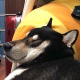 由 neilxxxl (刊登 ID 1378010402，圖片 1) 提交，位於 的 (類別：)，說明：。
