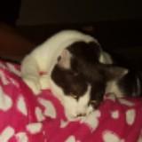 (Category: ) located in . Submitted by maxwelter (Listing ID 1187352575, Image 1). Description: .
