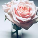 （分類：）位於 。 由 ssshann 提交（商品編號 1361132757，圖片 1）。簡介： 。